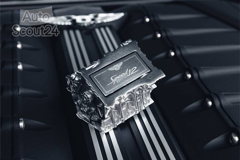 Speed Edition 12 - W12 Engine Artefact - 1