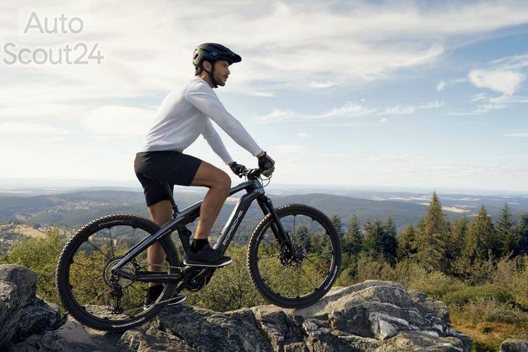 Porsche eBike Cross